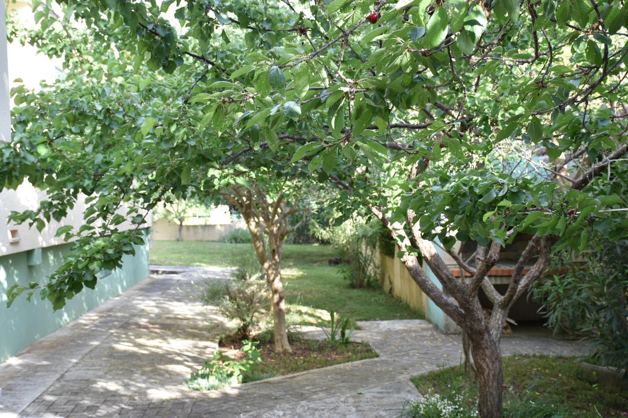 Apartments Antonija Punta Skala Next To Falkensteiner Resort Petrčane Exterior foto